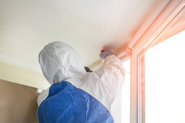 Best Residential Mold Inspection & Testing in USA